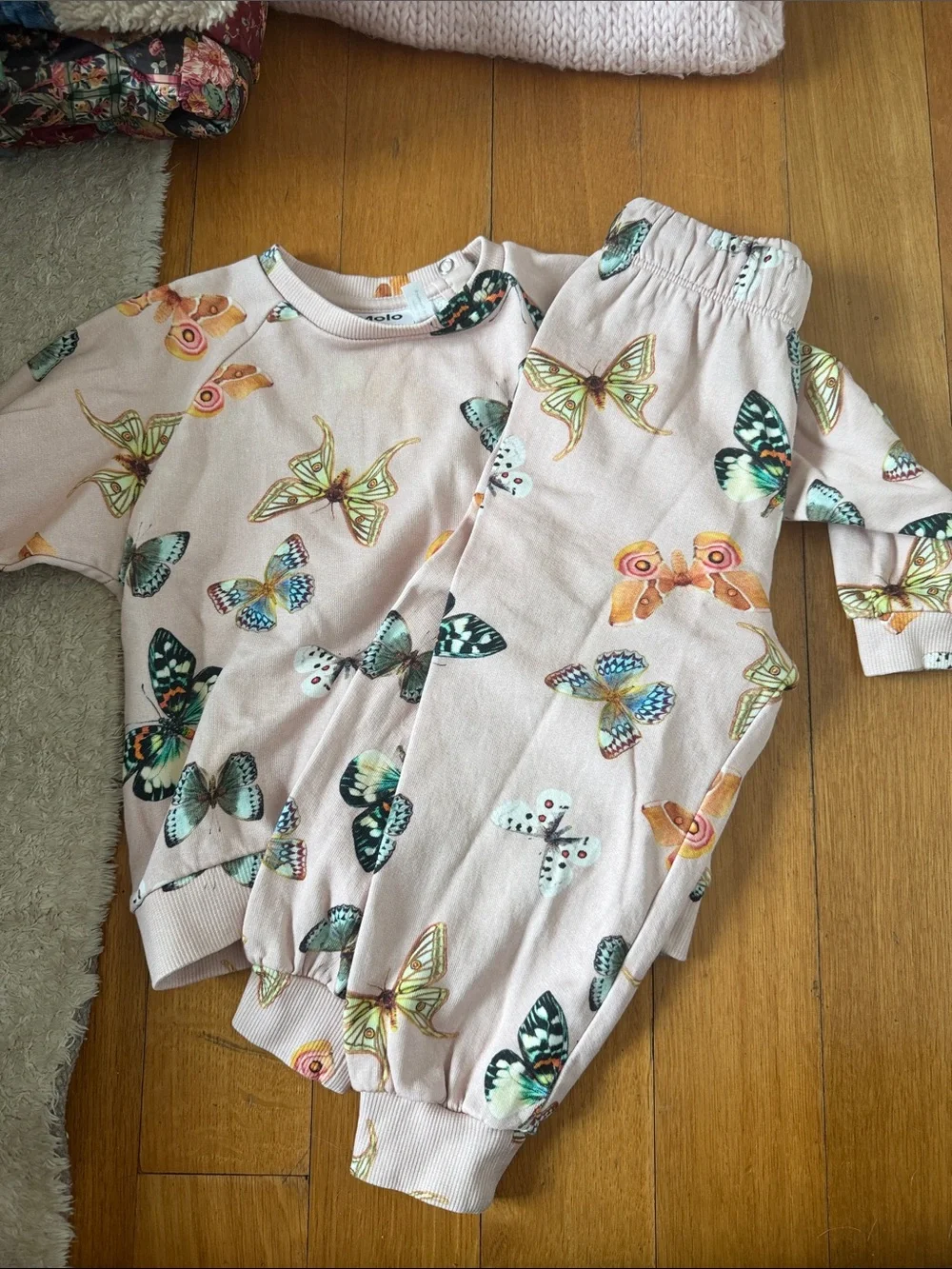 Molo adorable butterfly